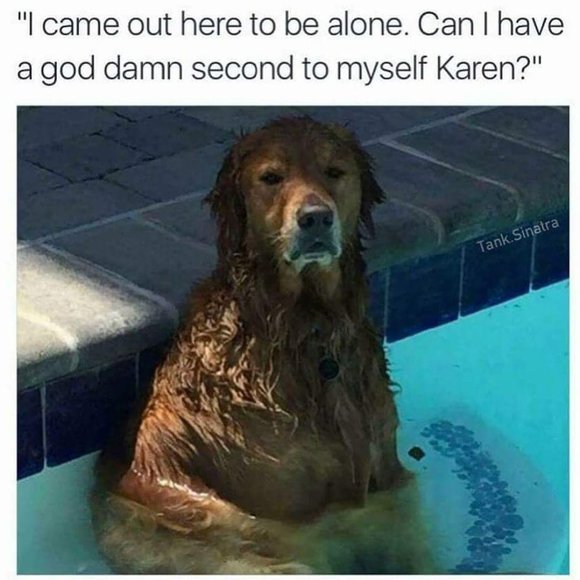 JUST FOR FUN PART 2 - Picture 6 of 12